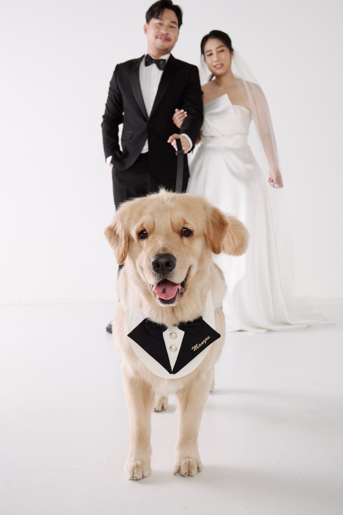 Paw & Tum · with dog in tuxedo